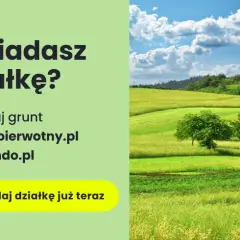 Ile kosztuje działka budowlana na wsi? Ceny, które mogą zaskoczyć