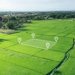 Czy można podzielić działkę rolną? Poznaj ważne przepisy i ograniczenia