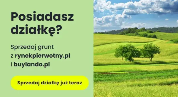 Ile kosztuje działka budowlana na wsi? Ceny, które mogą zaskoczyć